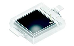 �����߹����չ�