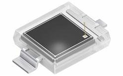 �����ն�����